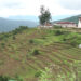Punakha farmers accuse irrigation project of failing to deliver sufficient water and for delaying paddy transplantation