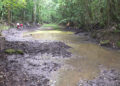 Tokarongpas in Samdrup Jongkhar come together to revive dried-up lake for the future