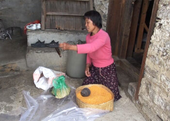 Farmers of Bartsham Gewog in Trashigang face quinoa marketing issues
