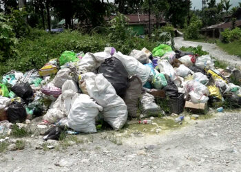 Waste collection service to address Gelephu Gewog’s waste issue