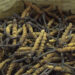 Cordyceps auction in Laya sees better prices amid lower yield