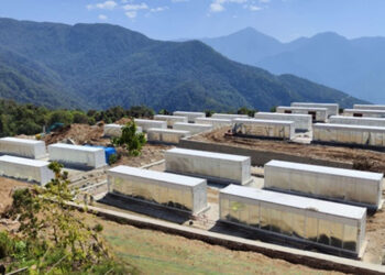 DHI and Bitdeer partnership’s 100MW digital asset mine to start operation by end of this month