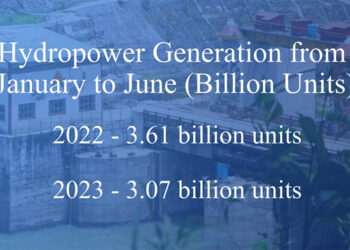 Domestic hydropower consumption spikes as production drops in the first half of the year