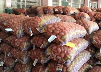 Indian government extends potato import from Bhutan without import license for another year