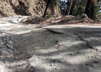 Zhemgang residents want Department of Surface Transport to hasten GC road takeover