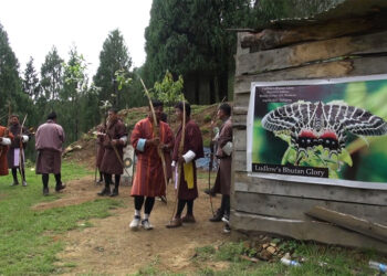 Bird watcher creates awareness about national butterfly at archery tournament