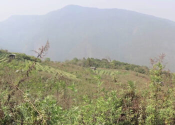 Two new roads connecting Dagana with Thimphu, Chhukha and Wangdue Phodrang in 13th FYP