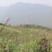 Two new roads connecting Dagana with Thimphu, Chhukha and Wangdue Phodrang in 13th FYP