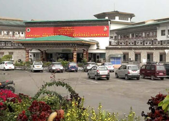 Man bitten by rabid dog in Sarpang in critical condition