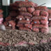 Farmers in Samdrup Jongkhar joyful as ginger price soars