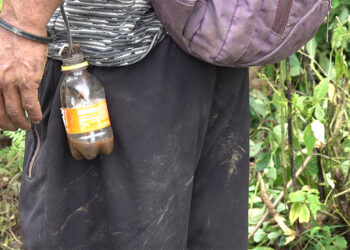 Leech menace meets ancient remedy: The Story of Jugayto and Samtse farmers