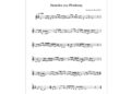 Preserving Bhutanese folk songs: Musical notations for 250 songs to safeguard cultural heritage