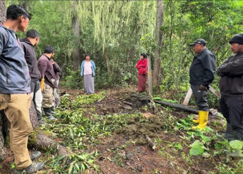 Villagers catch two men suspected of slaughtering missing cattle