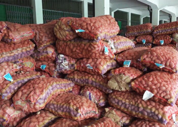 Potato growers and traders struggling as price plummets in auction yard