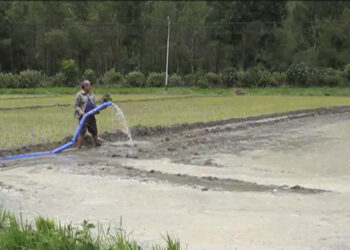 Farmers call for more water pumps to solve water crisis – Punakha