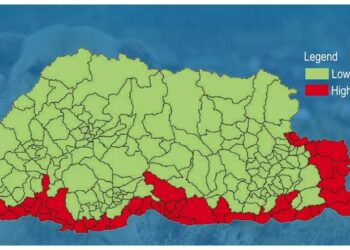 Bhutan hopeful of eliminating human rabies deaths despite cross-border transmission challenges