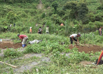 Hope for Drying Springs: Tarayana Foundation introduces Springshed Project in Samtse