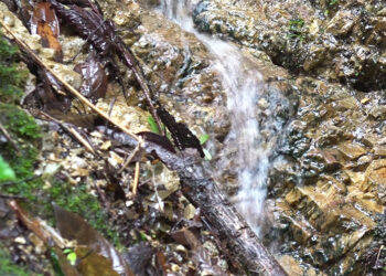 Inadequate infrastructure at source leads to drinking water shortage in Narphung