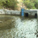 Debsi Water Project solves erratic water supply