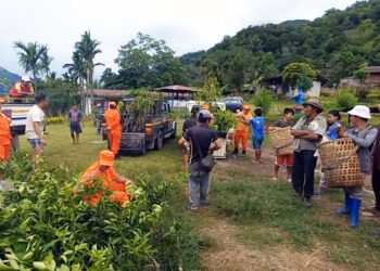 Successful completion of Million Fruit Tree Project’s second phase