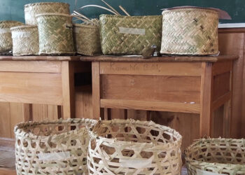 Bamboo and cane arts empower persons with disabilities