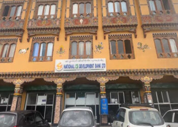 National CSI Development Bank stops disbursing new loans