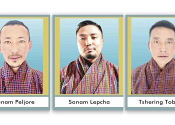 Druk Phuensum Tshogpa declares three more candidates