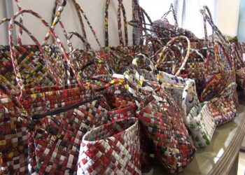 Pema Gatshel women express need for extended plastic basket training