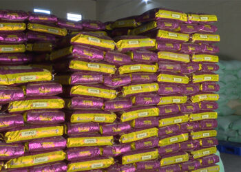 Economic impact of India’s rice export ban on Bhutan amidst global food crisis