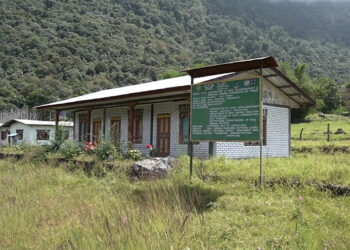 Community Gene Bank grapples with closure