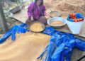 Quinoa farmers in Bartsham face price decline