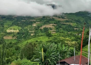 Man in custody for fatally stabbing another man in S/Jongkhar