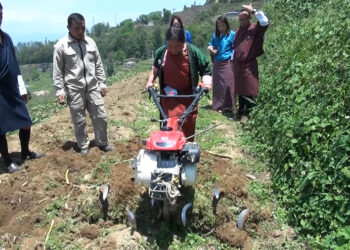 Draktsho East starts basic agriculture farming training