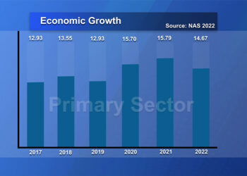 Services sector leads growth in 2022