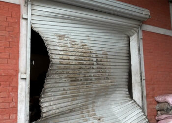 Elephants menace on the rise in Gelephu Gewog and Gelephu Thromde