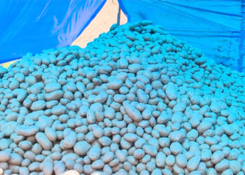 Dwindling potato sales raise concerns in western districts