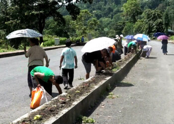 Sarpang closes offices temporarily on Fridays for beautification and cleaning works 