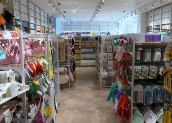 Franchise stores struggle to sustain growth