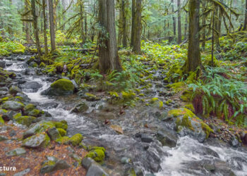 Bhutan launches USD 8.9 M project to tackle water issues and climate resilience
