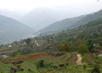 Samtse reports another rabies outbreak