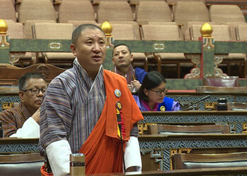 Majority of 80,000 passports issued in last nine years were to working age group