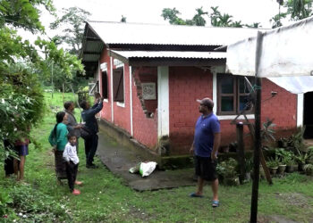 Elephant menace continues in Sarpang, villagers live in fear