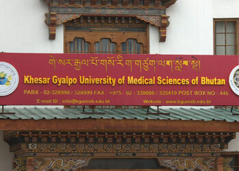 Most children under five in Thimphu and Phuentshogling exposed to lead, reveals research