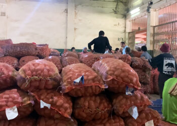 Efforts underway to help potato farmers at FCB auction yard in Phuentshogling
