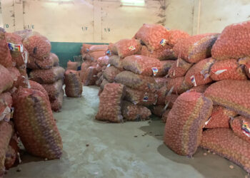 Potato price drops at FCB auction yard in Phuentshogling