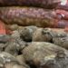 Thousands of kilogrammes of potatoes rotting in Phuentshogling FCB auction yard