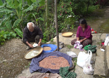 Organic seed farmer struggles to find market as demand plummets