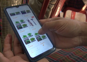 SHINE project to help farmers market farm produce online – Pema Gatshel