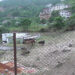 Unidentified individuals keep releasing stray animals from Khuruthang enclosure