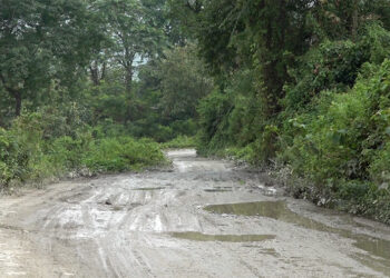 Unpaved Tading GC road in Samtse poses challenges for commuters